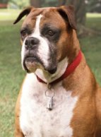 Bitch Tasha Bitch Tasha