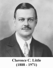 C.C. Little